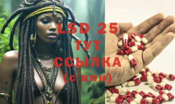 ешки Бронницы