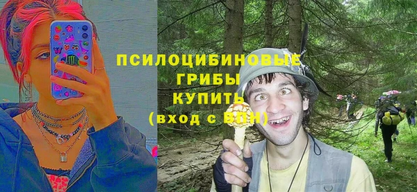 ешки Бронницы