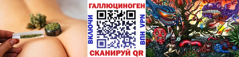 Купить где Карпинск Псилоцибиновые грибы Psilocybe